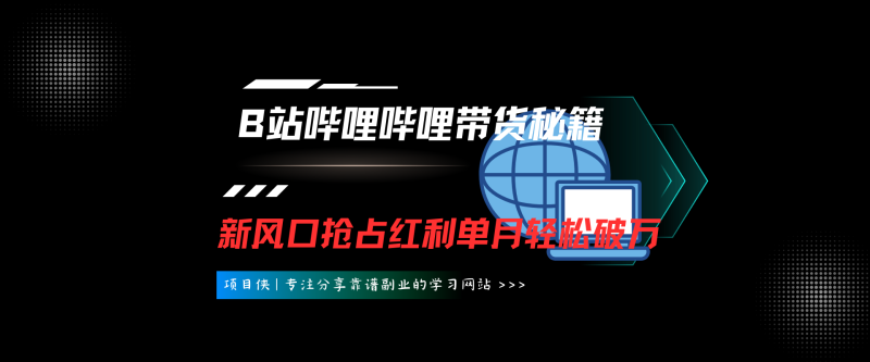 B站哔哩哔哩带货秘籍，新风口，抢占红利，单月轻松破万【附SOP手册】-项目侠